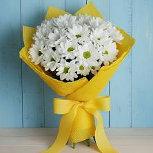 Букет цветов из:  Хризантемы в Дмитриевском
