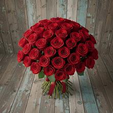 Букет 55 Красных роз Фридом #REPLACE_PRED# Дмитриевском