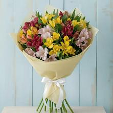 Букет цветов из:  Альстромерии #REPLACE_PRED# Дмитриевском