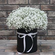 Цветочная композиция из Гипсофила в шляпной коробке в Дмитриевском