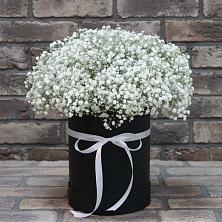 Цветочная композиция из Гипсофила в шляпной коробке в Дмитриевском