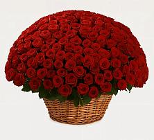 Премиум букет из: Розы в Дмитриевском